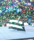 WWE00087.jpg