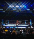 WWE00181.jpg