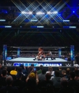 WWE00182.jpg