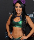 zelina-vega-at-wwe-s-first-ever-all-women-s-event-evolution-in-uniondale-10-28-2018-3.jpg