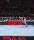 WWE00582.jpg